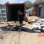 7 rotting bodies found in shipping container