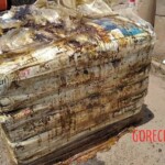 7 rotting bodies found in shipping container