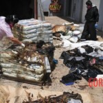 7 rotting bodies found in shipping container