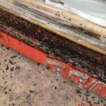 7 rotting bodies found in shipping container