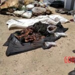 7 rotting bodies found in shipping container