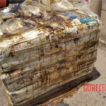 7 rotting bodies found in shipping container