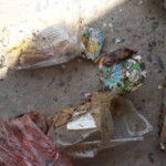 7 rotting bodies found in shipping container