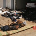 7 rotting bodies found in shipping container