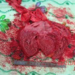 Detailed autopsy of Chinese woman