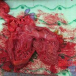 Detailed autopsy of Chinese woman