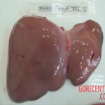 Stabbed woman in morgue