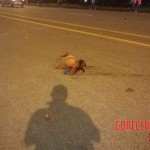 Lucas Vargas Klever Jonathan