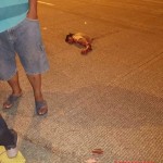 Lucas Vargas Klever Jonathan