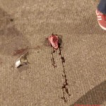 Lucas Vargas Klever Jonathan