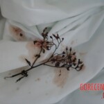 Brutally raped pregnant Chinese woman in morgue