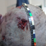 Brutally raped pregnant Chinese woman in morgue