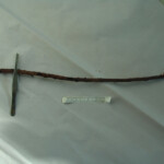 Brutally raped pregnant Chinese woman in morgue