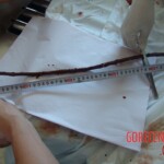 Brutally raped pregnant Chinese woman in morgue