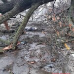 Bucha massacre dead body