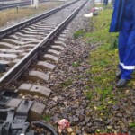Elderly woman hit by train
