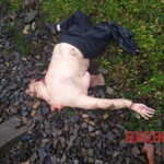 Elderly woman hit by train