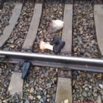 Elderly woman hit by train