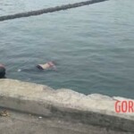 Jewelyn Zozobrado Pasculado