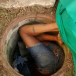 Elizabeth Maria Marques da Silva