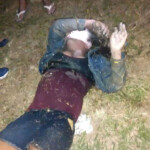 Elizabeth Maria Marques da Silva