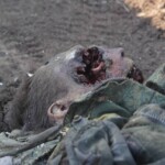 Dead soldier in Ukraine