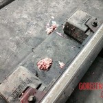 Brain ejected suicide