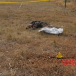 Suicide by skydiving