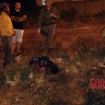 Kátia Regina de Sousa