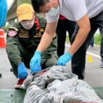 Thai woman slashed and mutilated by her boyfriend