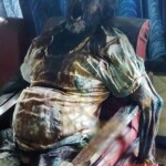 Rotten elderly couple