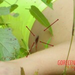 Patrícia Farias da Silva & Maria de Jesus Farias