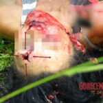 Patrícia Farias da Silva & Maria de Jesus Farias