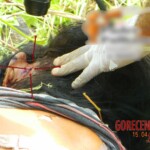 Patrícia Farias da Silva & Maria de Jesus Farias