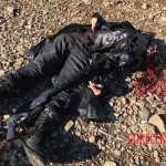 Mount Rainier National Park suicide