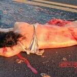 Elnir Fátima Moreira