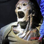 Mummified corpse