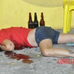 Iara Soares da Silva