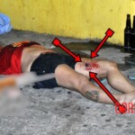 Iara Soares da Silva