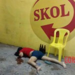 Iara Soares da Silva