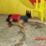 Iara Soares da Silva