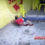 Iara Soares da Silva