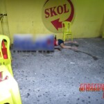 Iara Soares da Silva