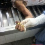 Adriana Maria Ferraz