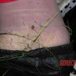 Young girl died in forest, face partially eaten