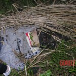 Dead young girl in forest
