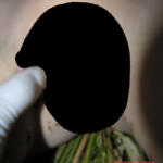Young girl died in forest, face partially eaten