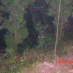 Young girl died in forest, face partially eaten