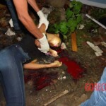 Tácila Oliveira Rodrigues dos Santos