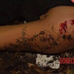 Tácila Oliveira Rodrigues dos Santos